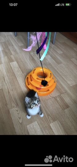 Малышке очень нужен Дом