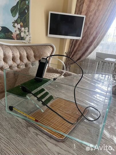 Террариум для черепахи