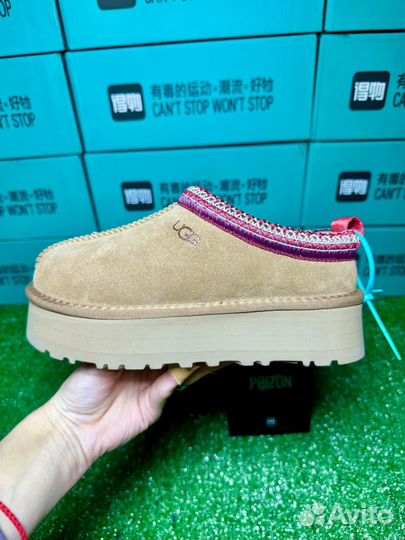 Ugg Tazz оригинал