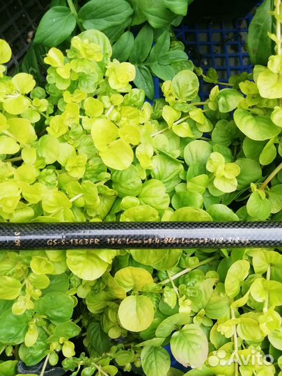 Охота и рыбалка