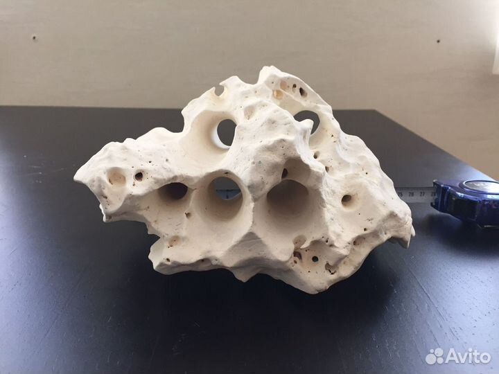 Коряга, корм Coppens