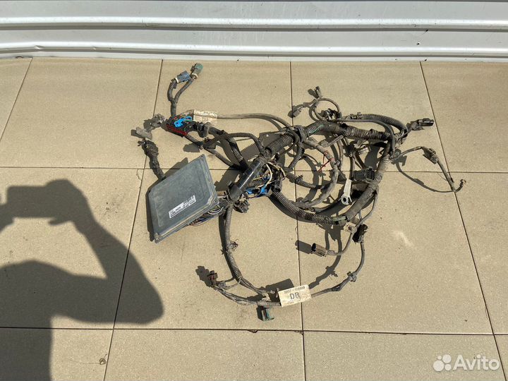 Проводка двигателя Ford Focus 2