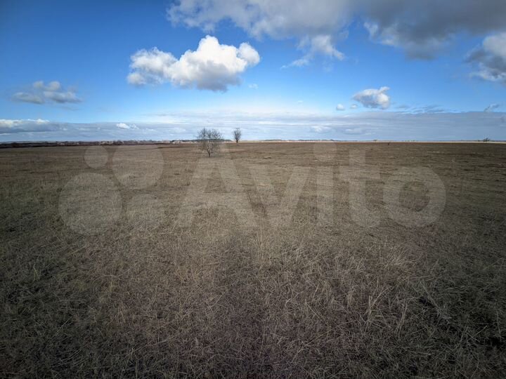 Участок 98,9 сот. (ИЖС)