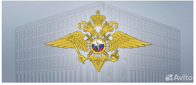 Рвп, внж, Гражданство, Гос.программа, Консультации