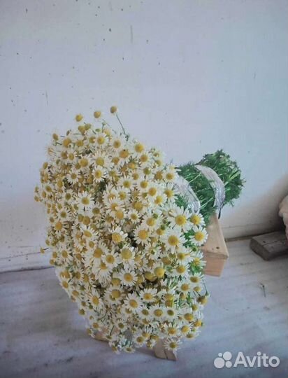 Ароматные букеты из ромашек