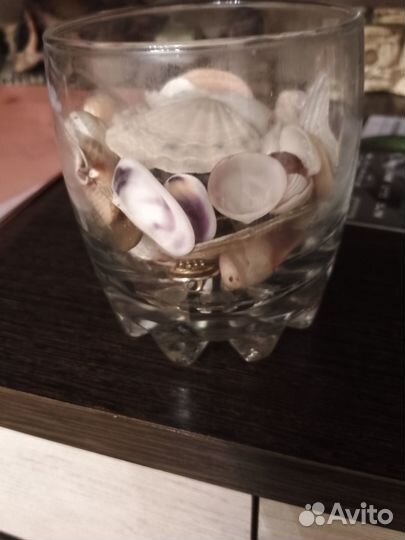 Морские ракушки