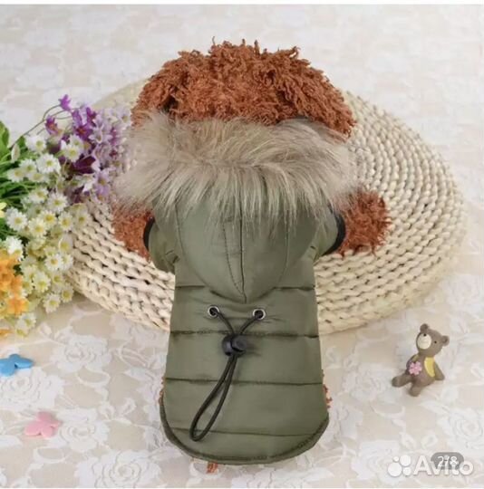 Одежда для собак