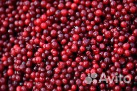 Брусника не чищенная