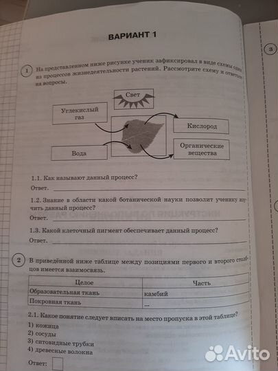 Сборник впр по биологии 6 класс, 10 вариантов