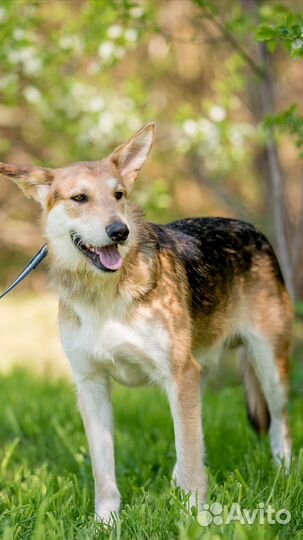 Филипп ищет дом