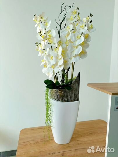 Орхидея белая для дома и офиса