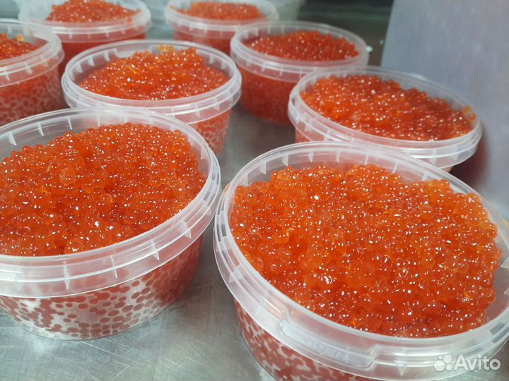 Красная икра горбуши