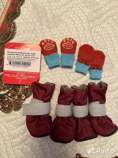 Сумка-переноска и обувь для собак