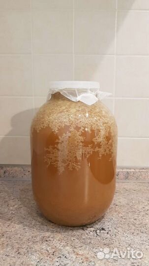 Мёд разнотравье, урожай 2022