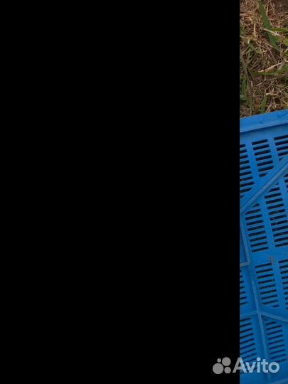 Тарелки глубокие