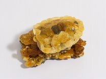 Шкатулка сувенир из янтаря черепаха