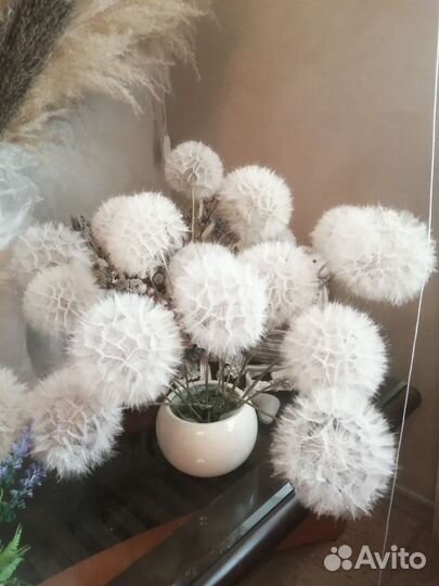 Цветы сухоцветы