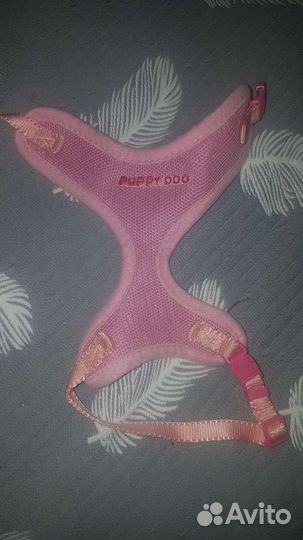 Одежда для маленькой собачки. Шлейка прогулочная