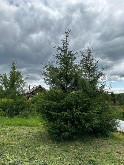 Участок 8 сот. (СНТ, ДНП)