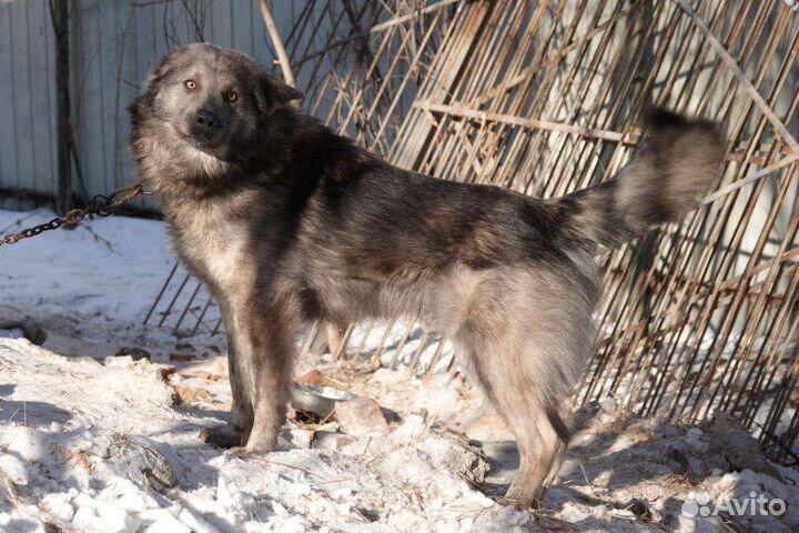 Крупный мальчик