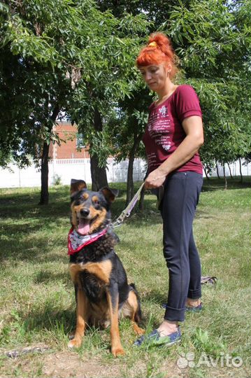 Мальчик Чарли подарить шанс на счастливую жизнь