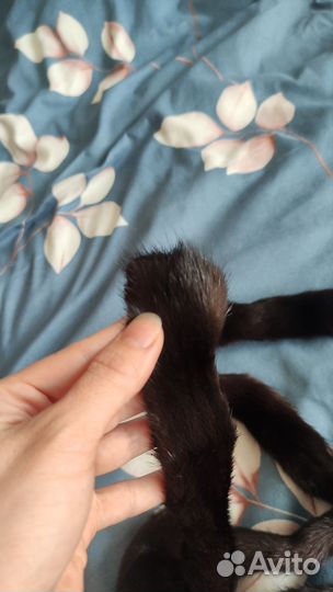 Пояс норки и меховой воротник