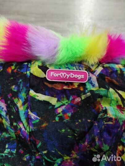 Одежда для средних собак