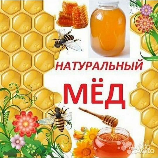Мед липовый 2023