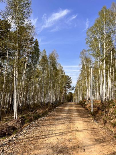 Участок 15 сот. (СНТ, ДНП)