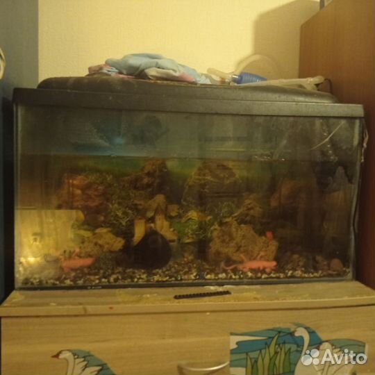 Аквариум