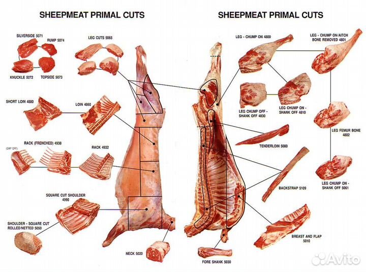 Забойщик скота