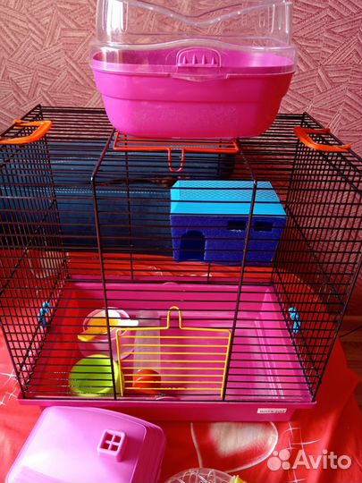 Всё, что нужно для хомяка