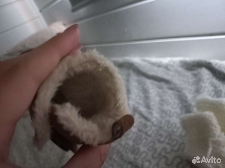 Пинетки,варежки