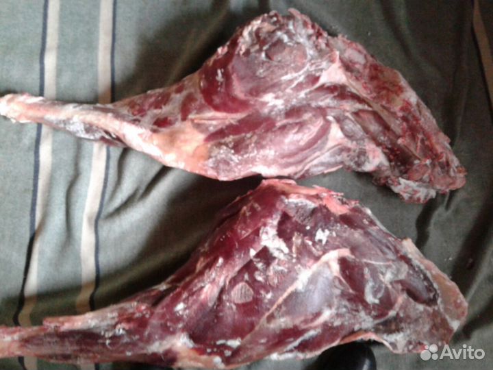 Продам мясо лося и дичь