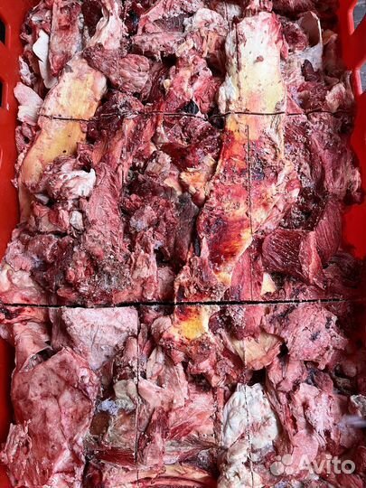 Говяжья тех.обрезь для животных оптом