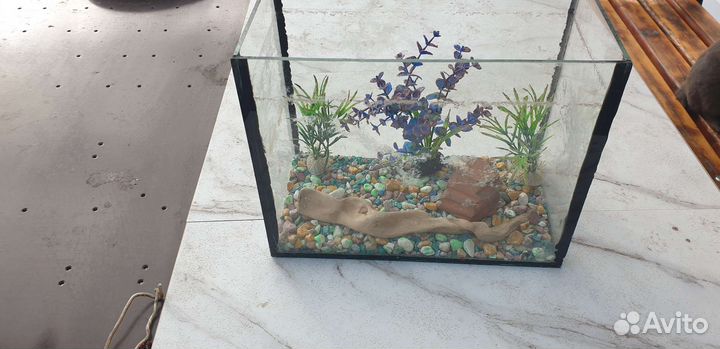 Аквариум