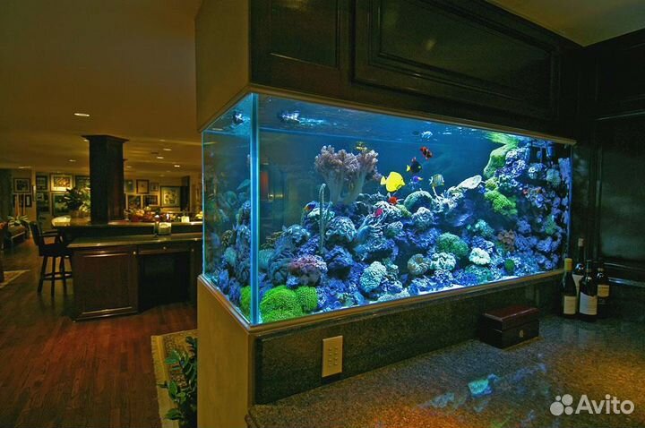 Обслуживание аквариумов любой сложности