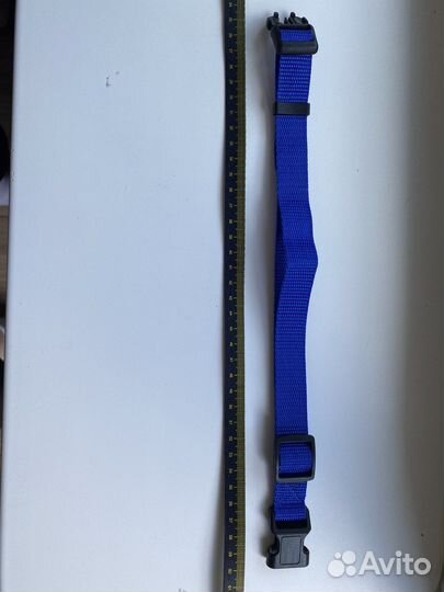 Ошейник для собак