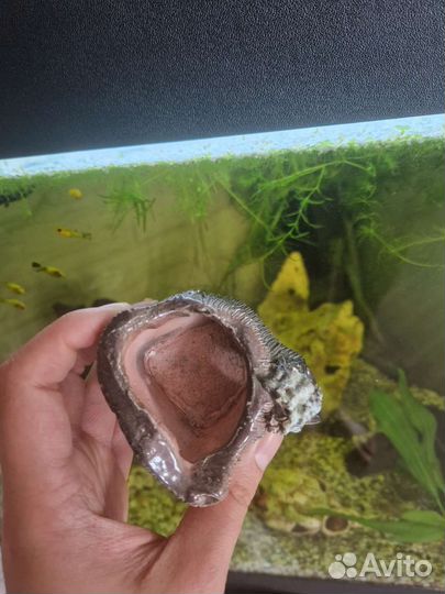 Декорации в аквариум