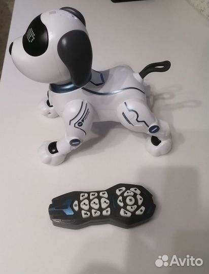 Собака робот