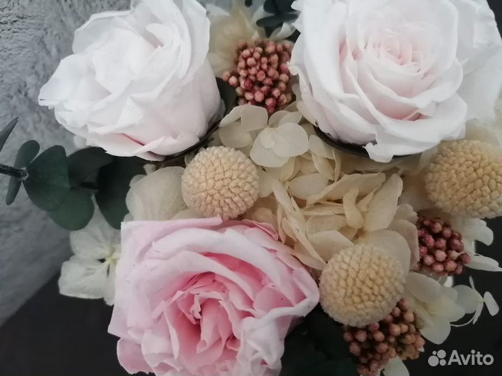 Стабилизированные цветы