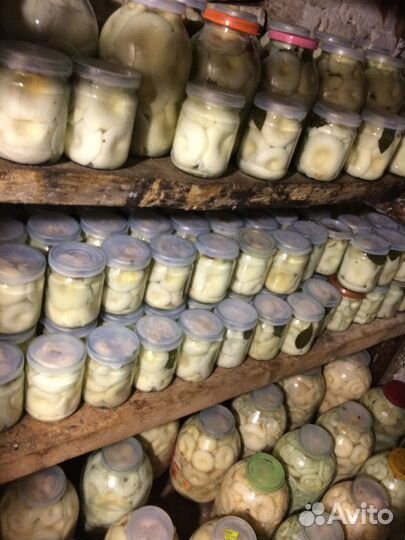 Грузди солёно-отварные