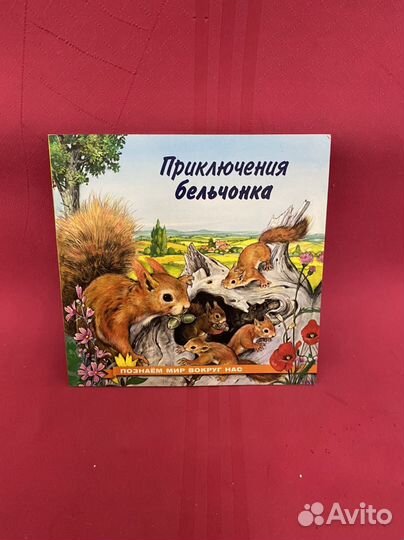 Приключения бельчонка