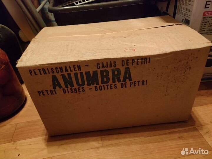 Чаша Петри Anumbra. 9,5/10