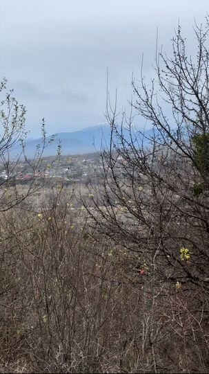 Участок 3 га (ИЖС)