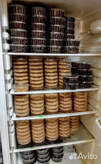 Прикормка для рыбалки, без выходных