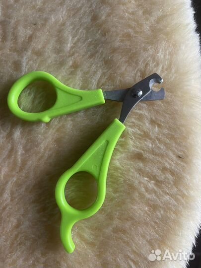 Когтеточка