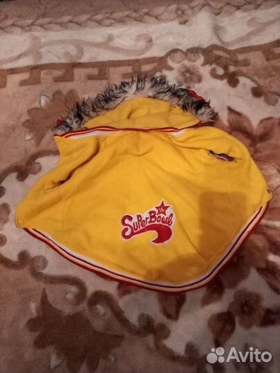 Кеды и одежда для собаки