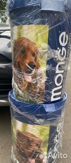 Корм Gemon,monge для кошек,собак и щенков