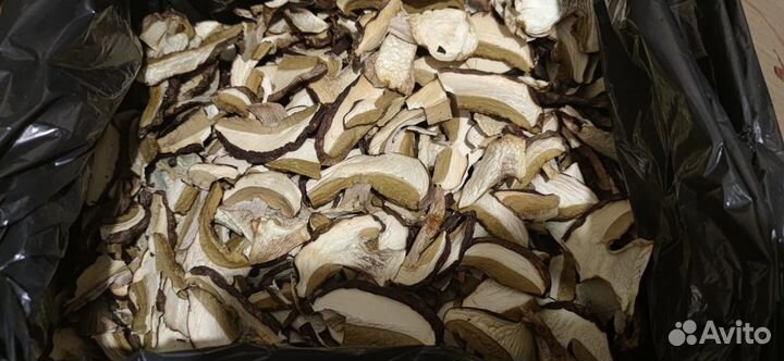 Сухой белый гриб